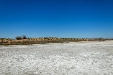 tuzlu su, tuz bataklığı. Etkin badlands. Tek çalı. Kazakistan