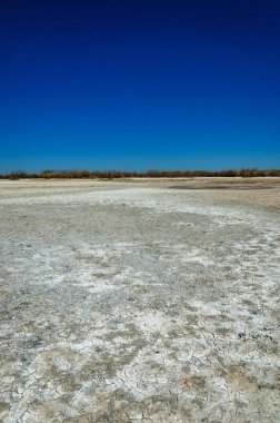 tuzlu su, tuz bataklığı. Etkin badlands. Tek çalı. Kazakistan
