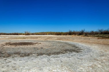 tuzlu su, tuz bataklığı. Etkin badlands. Tek çalı. Kazakistan
