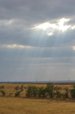 Woodless, zavallı nemi ve genellikle düz ile kuru iklim bölgesinde otsu bitki örtüsü bozkır. çayır, veld, veldt