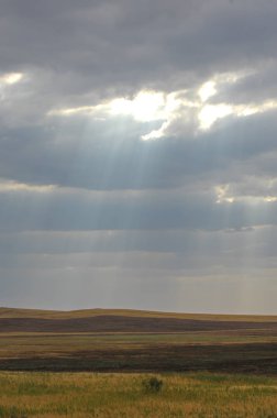 Woodless, zavallı nemi ve genellikle düz ile kuru iklim bölgesinde otsu bitki örtüsü bozkır. çayır, veld, veldt