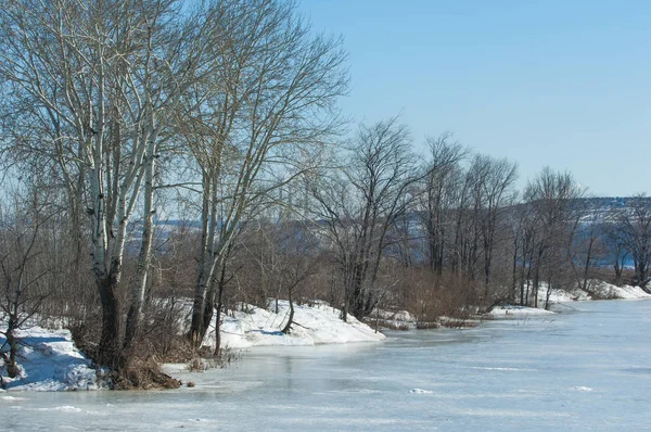 春に凍った湖 — ストック写真