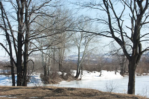 Donmuş gölün bahar. Bahar buz