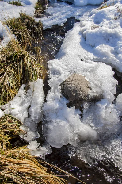 Neve Primavera Scorsa Sole Caldo Affettuoso — Foto Stock