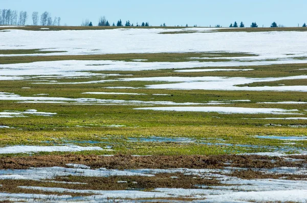 Geçen kış bahar kar. Ağaçlar