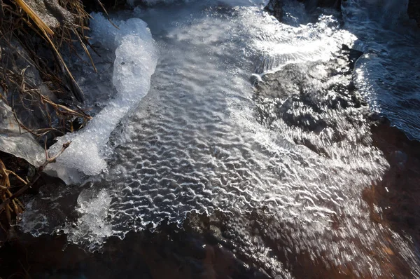 Neige Printemps Dernier Soleil Chaud Affectueux — Photo