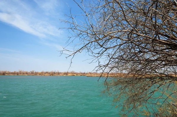 Manantial Río Primavera Asia Central Kazajstán Estepa Río Semirechye — Foto de Stock