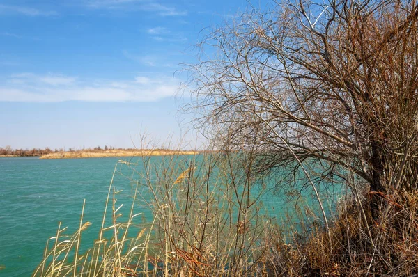 nehir bahar. bahar Nehri Orta Asya'da. Kazakistan bozkır nehir Semirechye. 