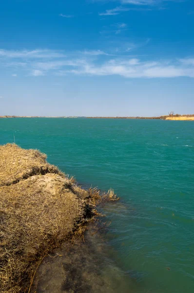 nehir bahar. bahar Nehri Orta Asya'da. Kazakistan bozkır nehir Semirechye. 