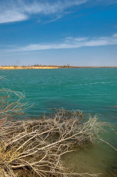 Manantial Río Primavera Asia Central Kazajstán Estepa Río Semirechye — Foto de Stock