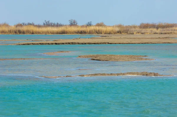 Manantial Río Primavera Asia Central Kazajstán Estepa Río Semirechye — Foto de Stock