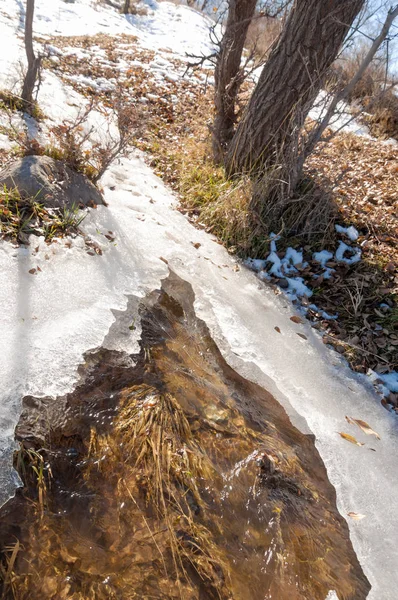 Sıcak, sevgi güneş son bahar kar