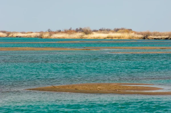 nehir bahar. bahar Nehri Orta Asya'da. Kazakistan bozkır nehir Semirechye. 