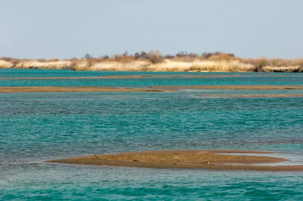 nehir bahar. bahar Nehri Orta Asya'da. Kazakistan bozkır nehir Semirechye. 