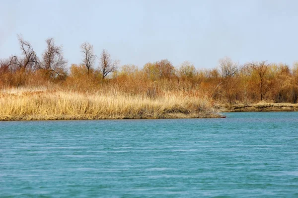 nehir bahar. bahar Nehri Orta Asya'da. Kazakistan bozkır nehir Semirechye. 