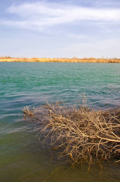 nehir bahar. bahar Nehri Orta Asya'da. Kazakistan bozkır nehir Semirechye. 