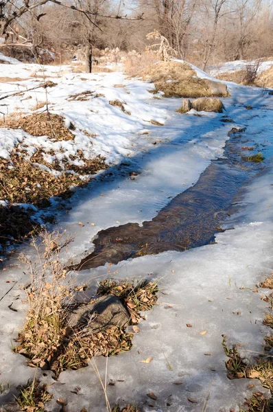 su küçük bir nehir erken ilkbahar akarsu. Bahar sahne. donmuş bir dere ile dağ manzarası