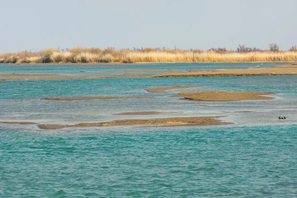 nehir bahar. bahar Nehri Orta Asya'da. Kazakistan bozkır nehir Semirechye. 