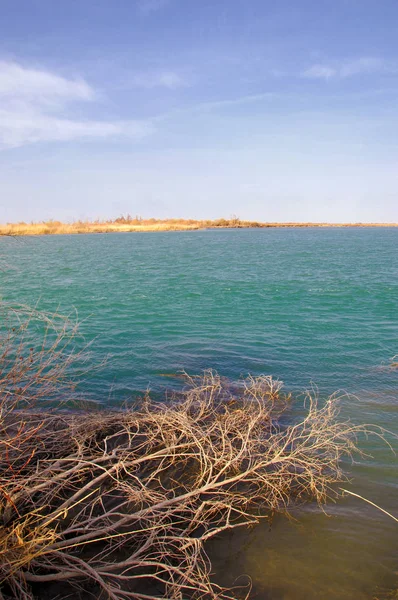 nehir bahar. bahar Nehri Orta Asya'da. Kazakistan bozkır nehir Semirechye. 