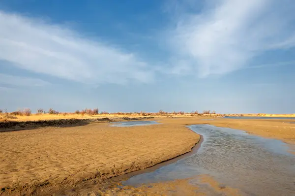 nehir bahar. bahar Nehri Orta Asya'da. Kazakistan bozkır nehir Semirechye. 