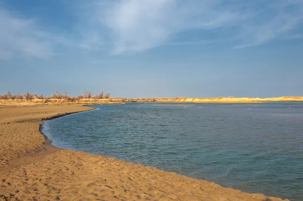 nehir bahar. bahar Nehri Orta Asya'da. Kazakistan bozkır nehir Semirechye. 