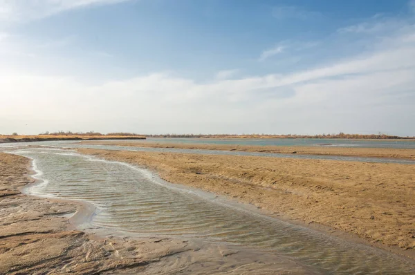 nehir bahar. bahar Nehri Orta Asya'da. Kazakistan bozkır nehir Semirechye. 