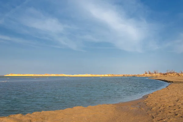 Sorgente Del Fiume Fiume Primaverile Asia Centrale Fiume Steppa Del — Foto Stock