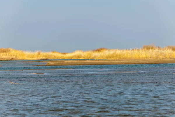 nehir bahar. bahar Nehri Orta Asya'da. Kazakistan bozkır nehir Semirechye. 