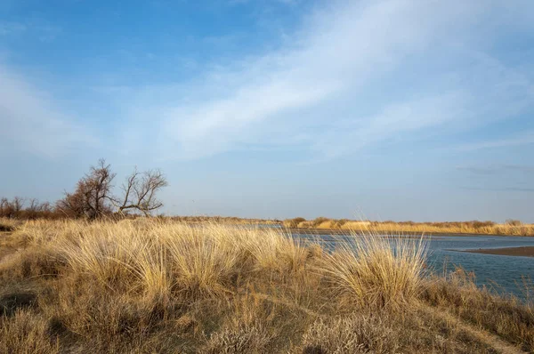 nehir bahar. bahar Nehri Orta Asya'da. Kazakistan bozkır nehir Semirechye. 