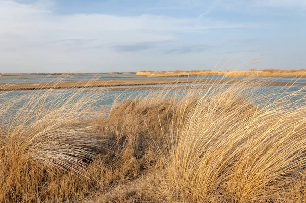 nehir bahar. bahar Nehri Orta Asya'da. Kazakistan bozkır nehir Semirechye. 