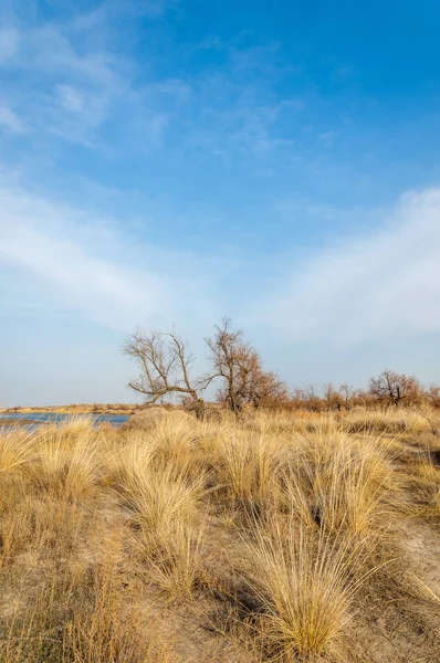 nehir bahar. bahar Nehri Orta Asya'da. Kazakistan bozkır nehir Semirechye. 