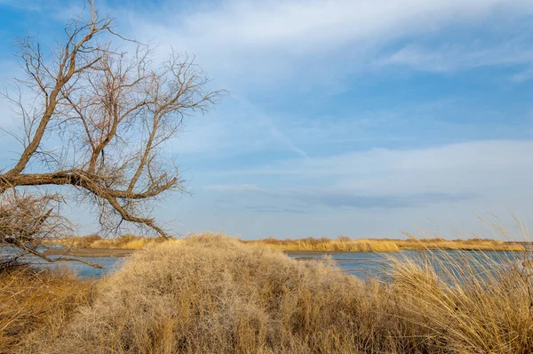 nehir bahar. bahar Nehri Orta Asya'da. Kazakistan bozkır nehir Semirechye. 