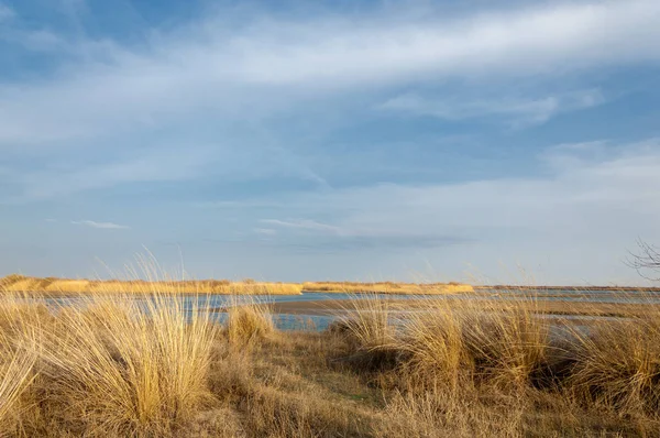 nehir bahar. bahar Nehri Orta Asya'da. Kazakistan bozkır nehir Semirechye. 