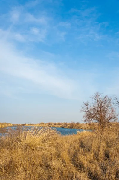 nehir bahar. bahar Nehri Orta Asya'da. Kazakistan bozkır nehir Semirechye. 