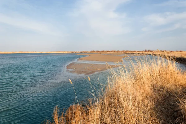 nehir bahar. bahar Nehri Orta Asya'da. Kazakistan bozkır nehir Semirechye. 