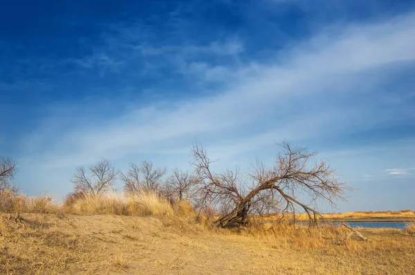 nehir bahar. bahar Nehri Orta Asya'da. Kazakistan bozkır nehir Semirechye. 
