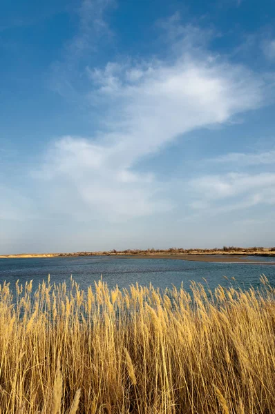 nehir bahar. bahar Nehri Orta Asya'da. Kazakistan bozkır nehir Semirechye. 