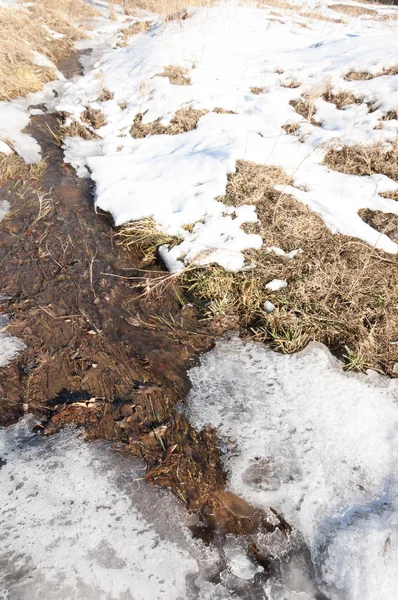 su küçük bir nehir erken ilkbahar akarsu. Bahar sahne. donmuş bir dere ile dağ manzarası