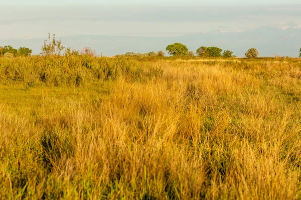 erken yaz aylarında bozkır