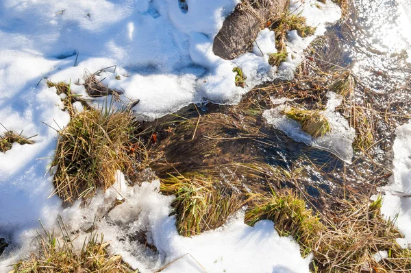 Eau Courante Dans Une Petite Rivière Début Printemps Scène Printemps — Photo