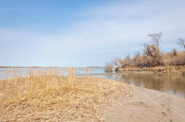 nehir bahar. bahar Nehri Orta Asya'da. Kazakistan bozkır nehir Semirechye. 
