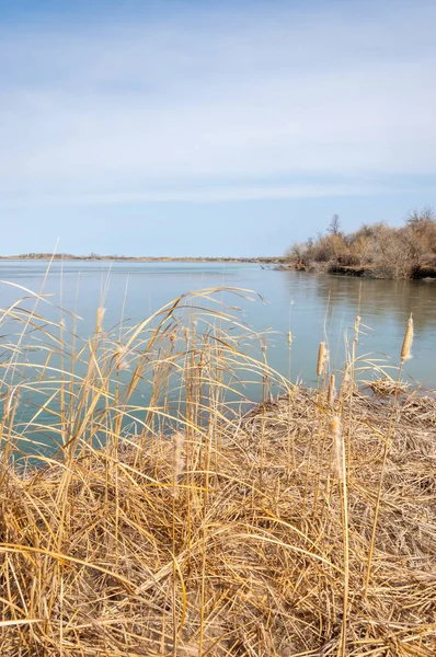 nehir bahar. bahar Nehri Orta Asya'da. Kazakistan bozkır nehir Semirechye. 