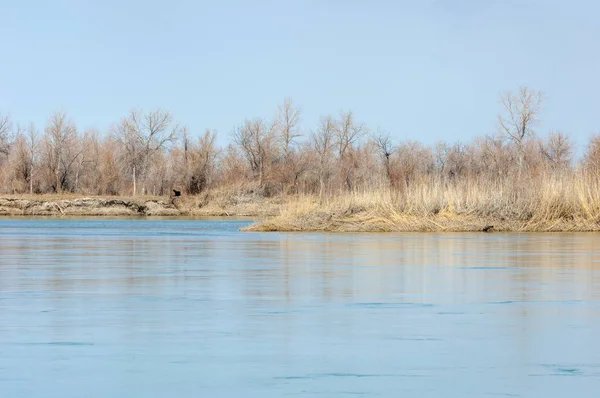 在中亚的春天河 哈萨克斯坦草原河 Semirechye — 图库照片