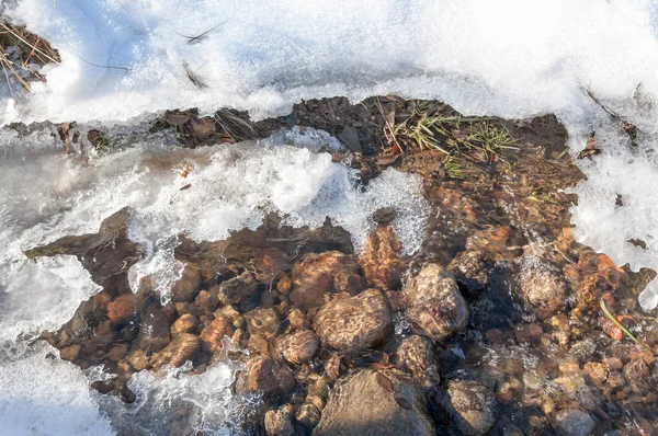 su küçük bir nehir erken ilkbahar akarsu. Bahar sahne. donmuş bir dere ile dağ manzarası