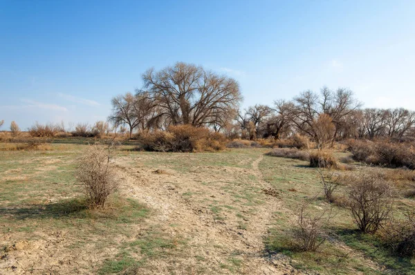 Sıcak, sevgi güneş son bahar kar