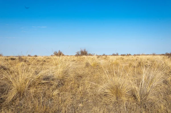 Sıcak, sevgi güneş son bahar kar