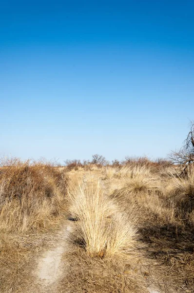 Neve Primavera Scorsa Sole Caldo Affettuoso — Foto Stock