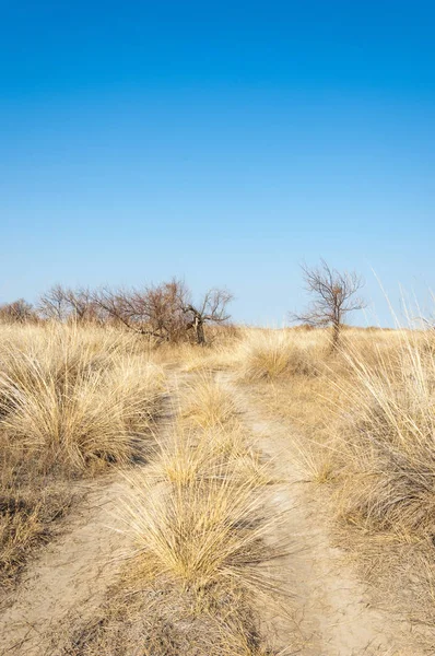 Sıcak, sevgi güneş son bahar kar