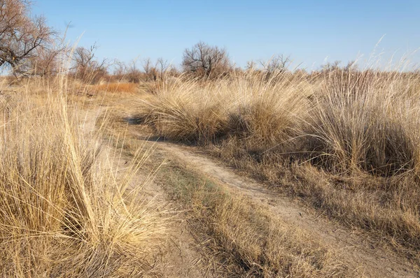 Sıcak, sevgi güneş son bahar kar