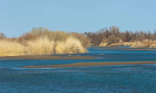 bahar bozkır nehirde. nehir sazlık ile büyümüş. saf zümrüt sudur